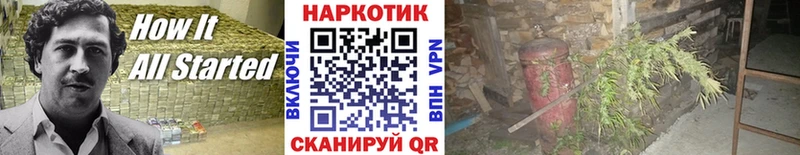 Псилоцибиновые грибы Сочи