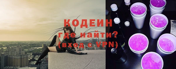 шишки Абаза