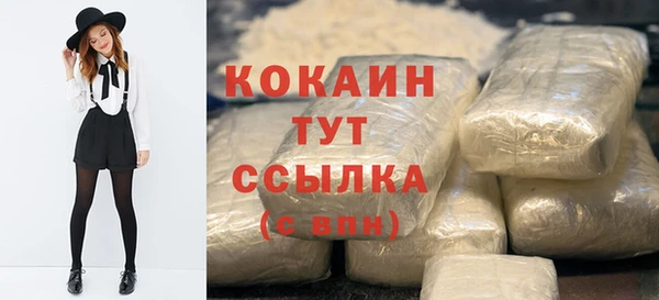 шишки Абаза