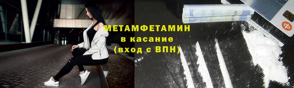 шишки Абаза