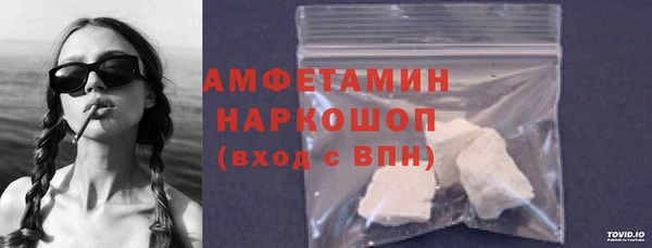 шишки Абаза