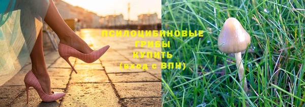 хмурый Абинск