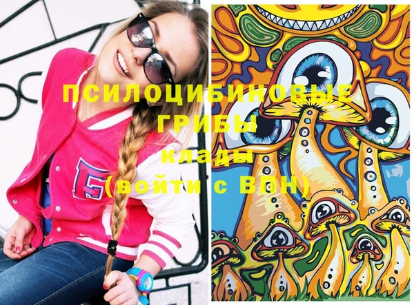 хмурый Абинск