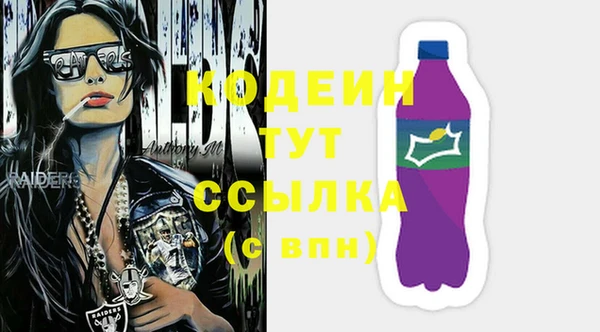 шишки Абаза