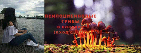 хмурый Абинск