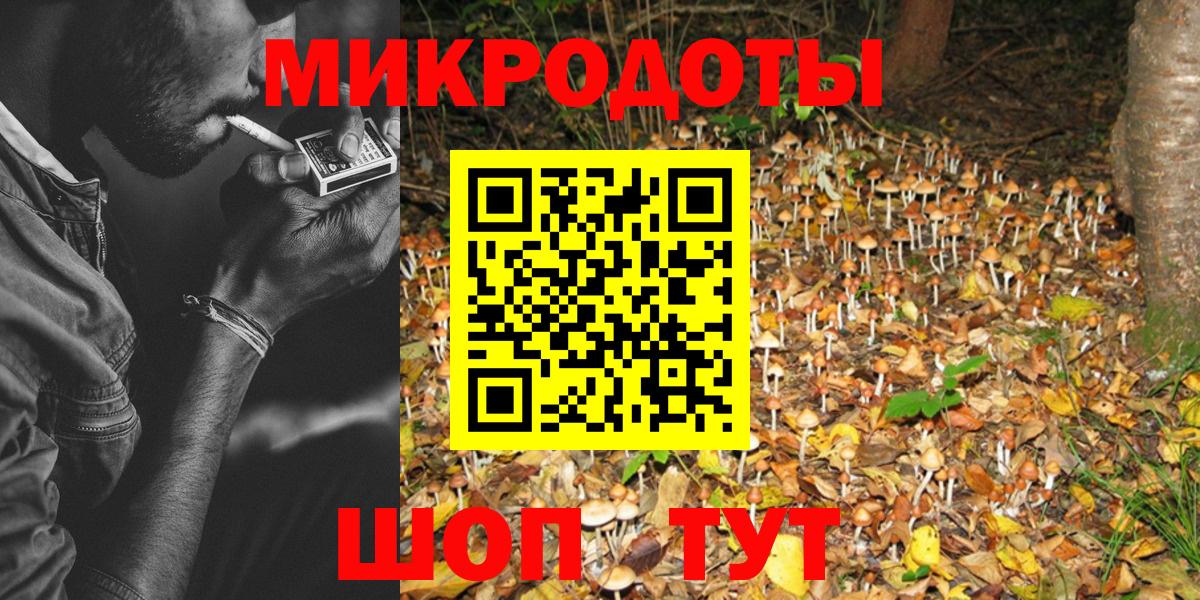 Псилоцибиновые грибы Psilocybe Сочи